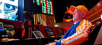 Официальный сайт Casino Zolotoy Arbuz